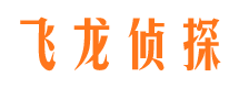 铁锋市侦探公司